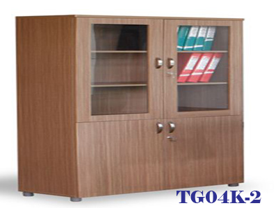 Tủ văn phòng - TG04-k2
